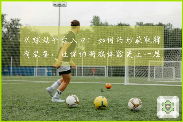 买球站平台入口：如何巧妙获取稀有装备，让你的游戏体验更上一层楼
